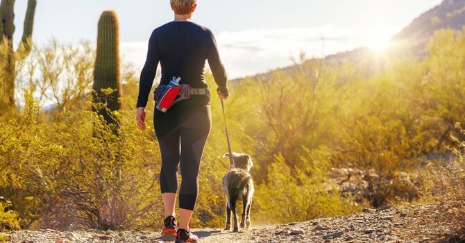 Back Traction Treatment for Lower Back Pain & Disc Relief